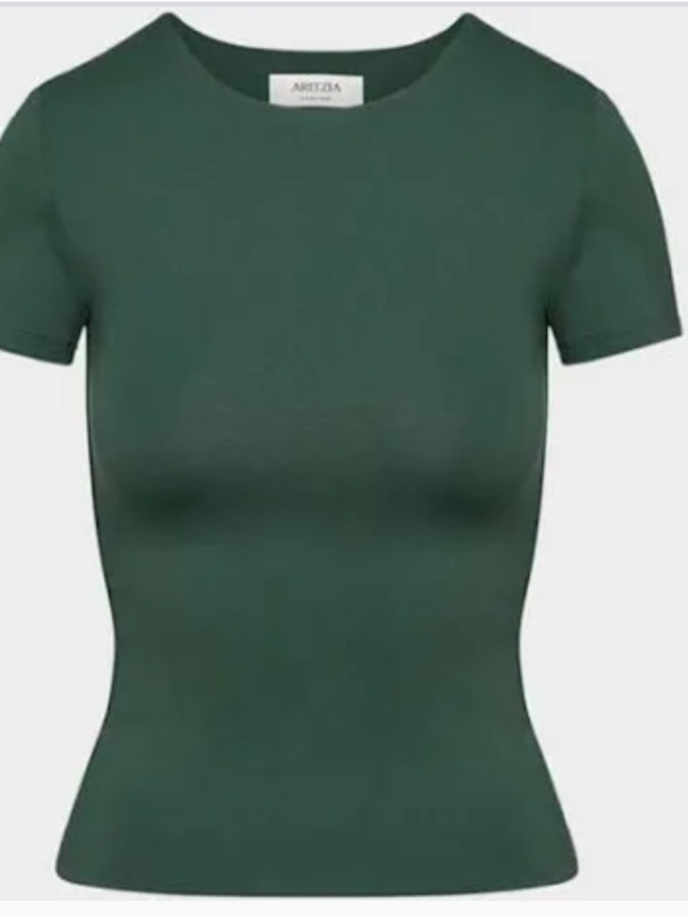 ARITZIA Forest Green Crewneck Short-Sleeve Top